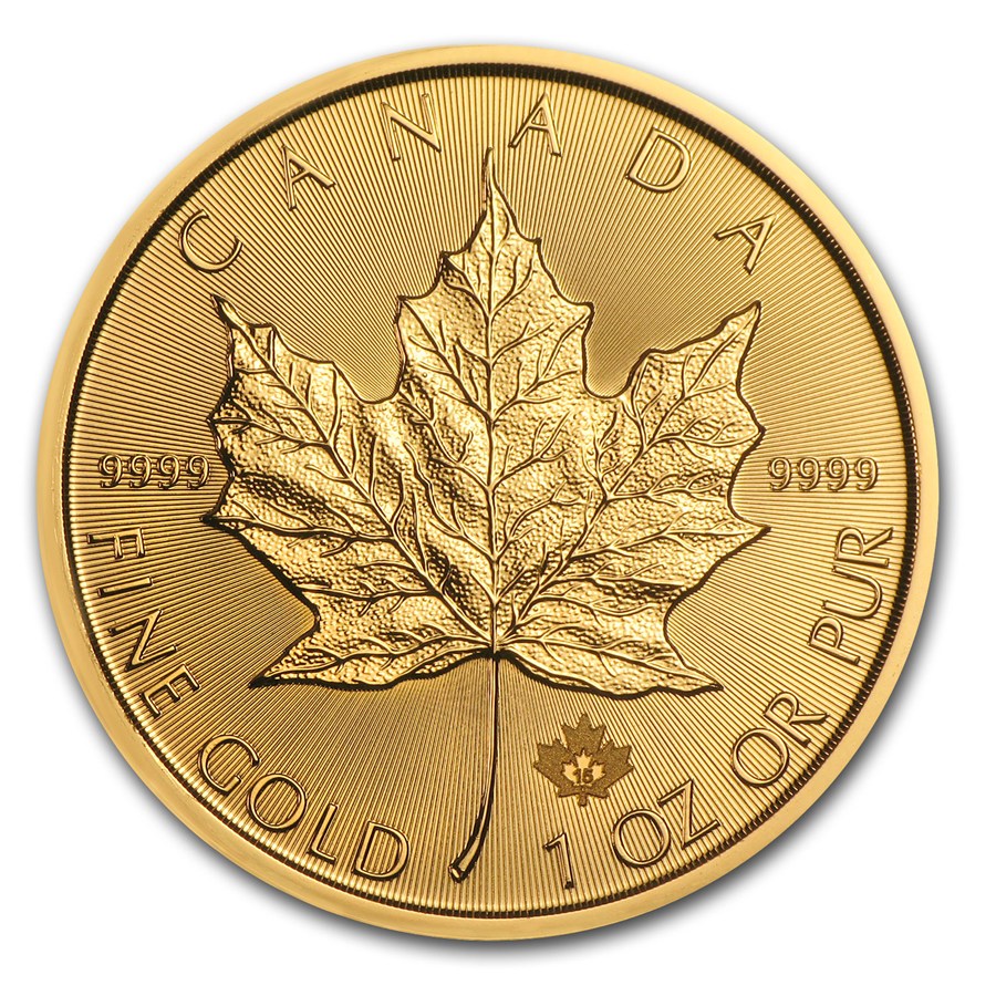 Canadian Gold Maple